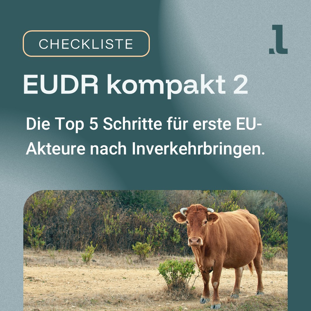 Kuh im Vordergrund - Kachel "Checkliste" - EUDR kompakt 2