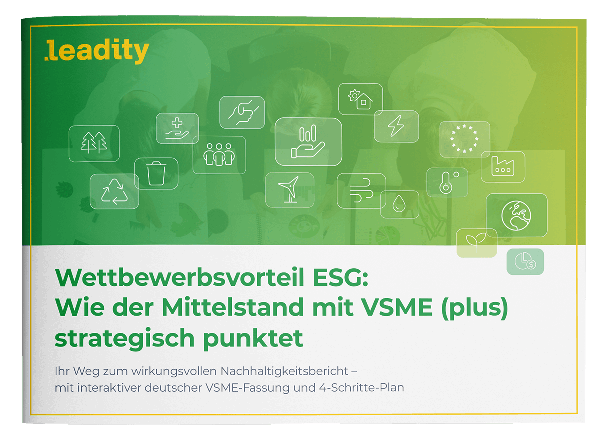 VSME-Leitfaden-Download VSME Plus Whitepaper Download