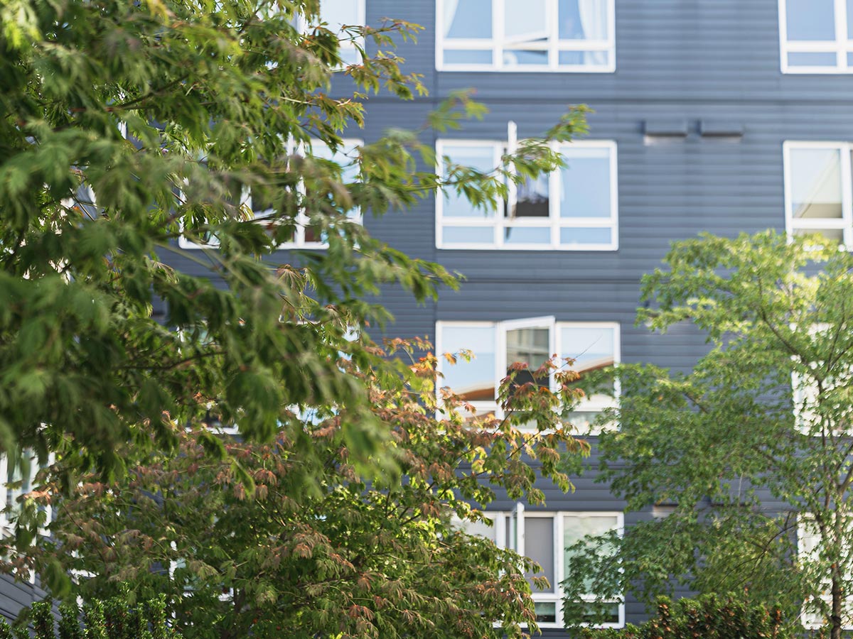 Branchenlösung Hotels Gebäude Hotels Gebäude Sanierung, Moderne Fassade mit Baumkronen im Vordergrund