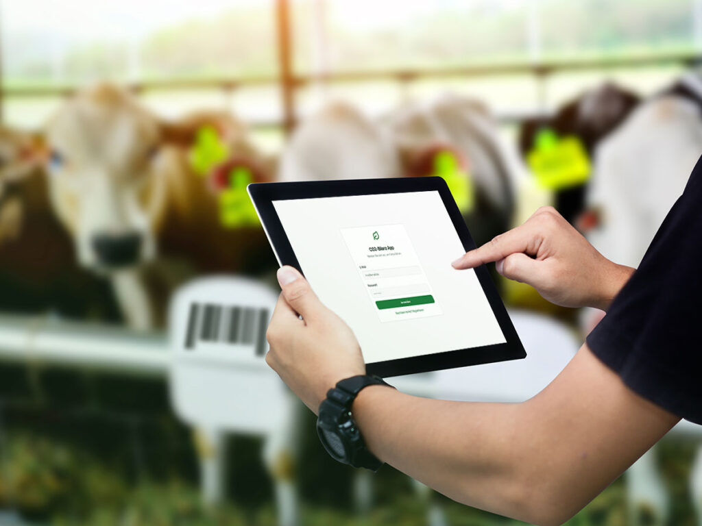 ESG-Branchenlösung Molkereien, Hände benutzen Tablet mit leadity ESG App, Kuhstall unscharf im Hintergrund