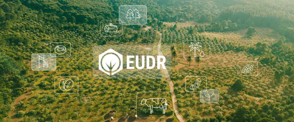 EUDR Verordnung Verschiebung