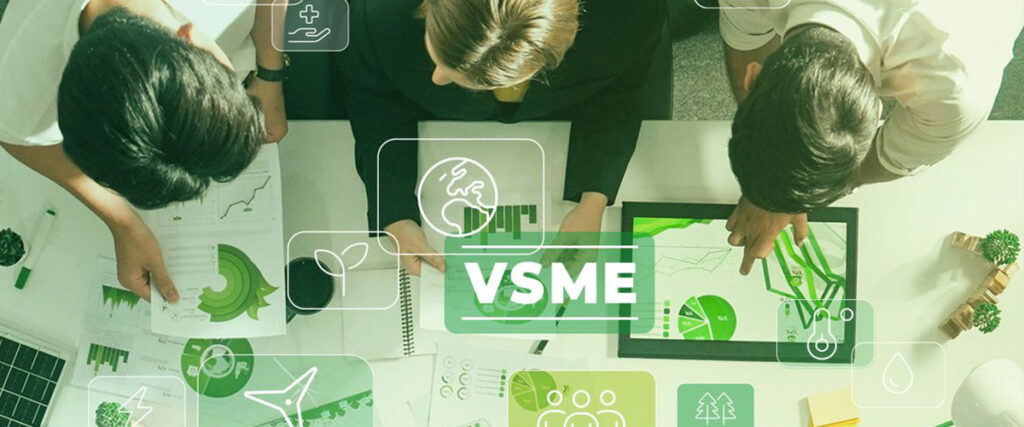 VSME Standard Plus leadity