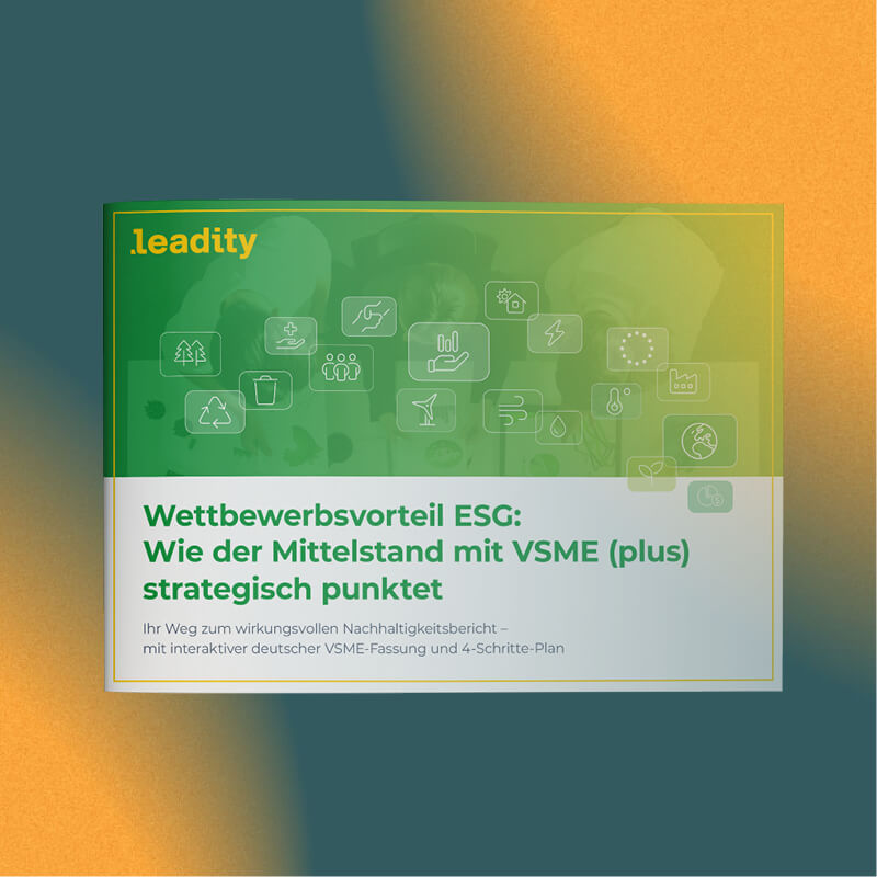 Whitepaper vor grau-orange Verlauf: Wettbewerbsvorteil ESG - Wie der Mittelstand mit VSME (plus) strategisch punktet