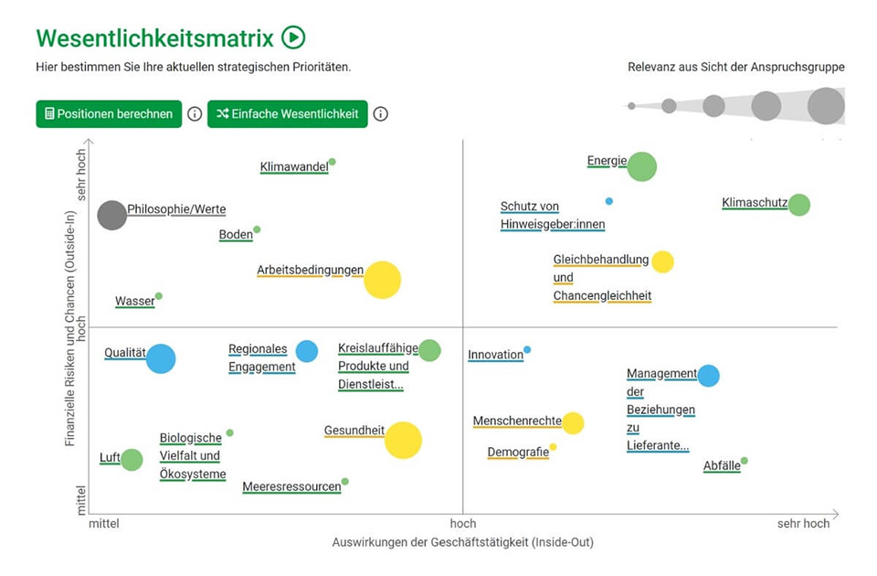 wesentlichkeitsmatrik